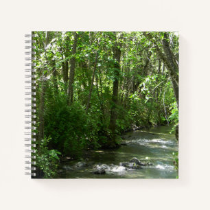 Cuaderno Gran arroyo en verano.....