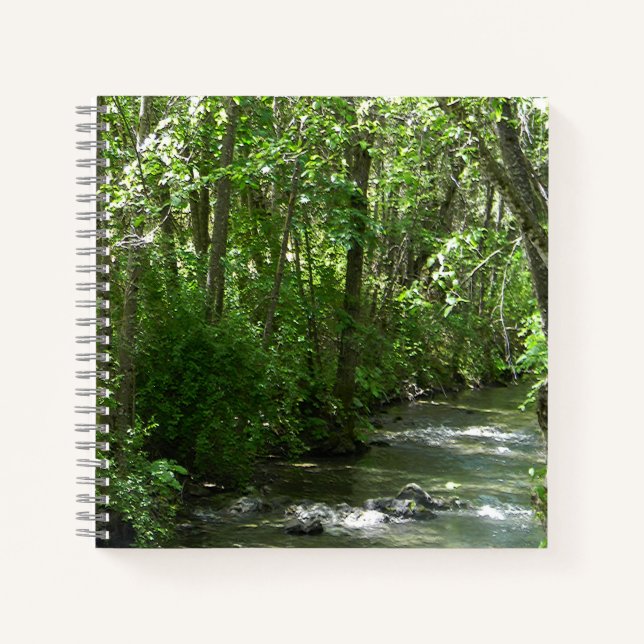 Cuaderno Gran arroyo en verano..... (Anverso)