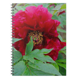 Cuaderno Gran Borgoña