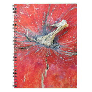 Cuaderno Gran Calabaza Brillante