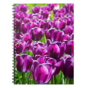 Cuaderno Gran campo de tulipanes púrpura
