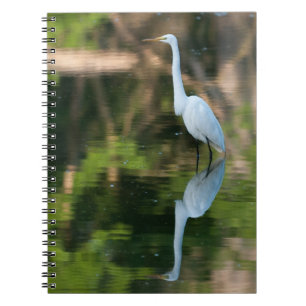 Cuaderno Gran Egret Blanco