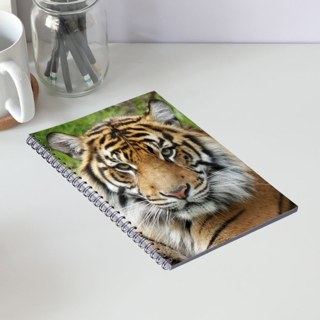 Cuaderno Gran Foto de Tigre de Sumatra (In Situ)