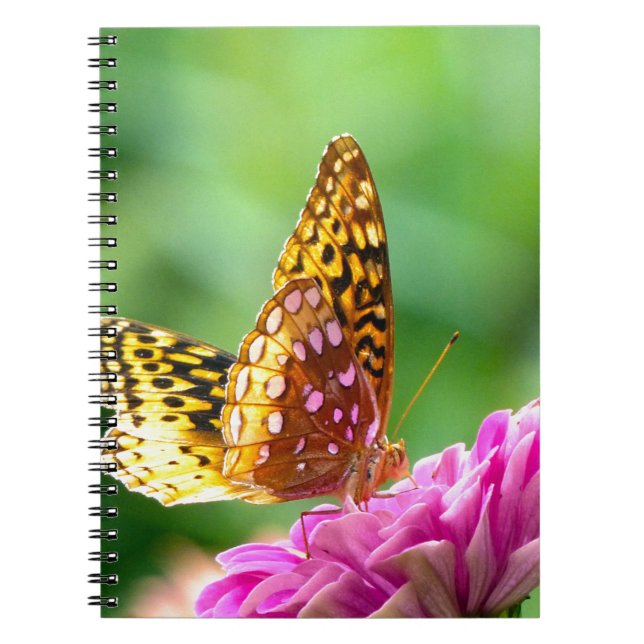 Cuaderno Gran Fritillary Español (Frente)