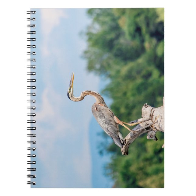 Cuaderno Gran garza azul (Frente)