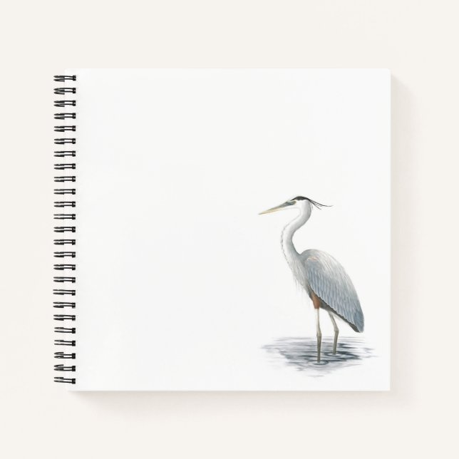 Cuaderno Gran garza azul (Anverso)