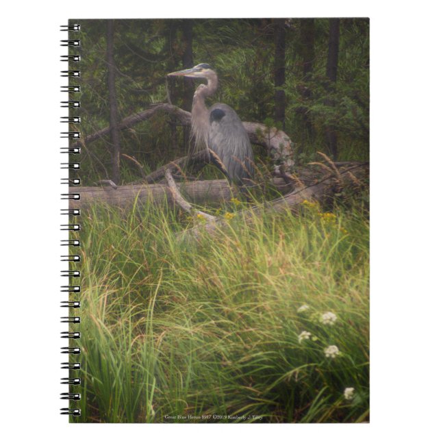 Cuaderno Gran garza azul 8917 (Frente)