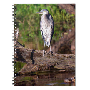 Cuaderno Gran garza azul en el diario para portátiles Log P