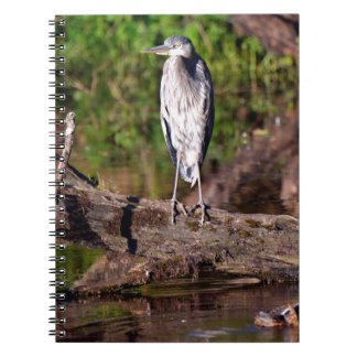 Cuaderno Gran garza azul en el diario para portátiles Log P