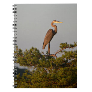 Cuaderno Gran garza azul en la parte superior del árbol