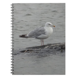 Cuaderno Gran gaviota