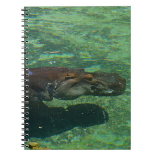 Cuaderno Gran hipopótamo nadando bajo el agua,