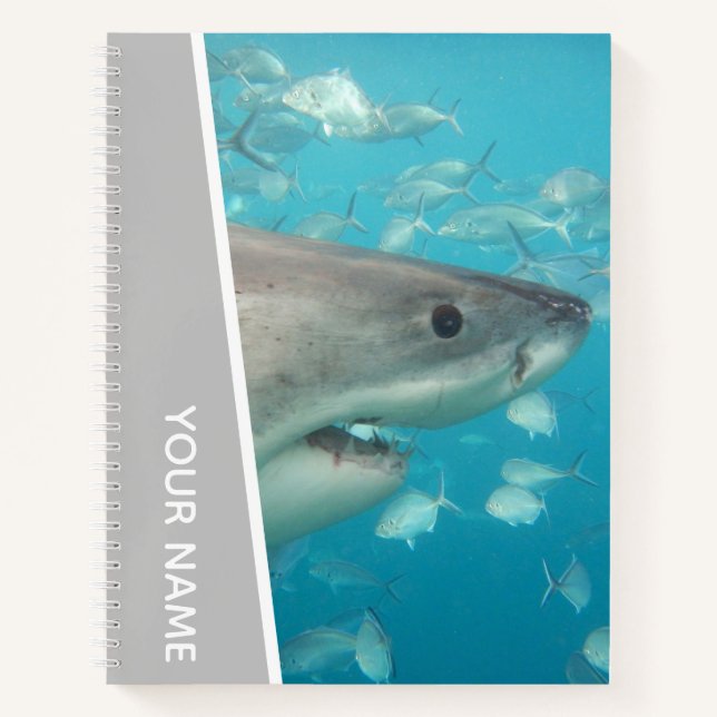Cuaderno Gran tema oceánico del Tiburón blanco Australia, p (Anverso)