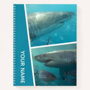 Cuaderno Gran Tiburón Blanco Australia Duo Fotografía Colla