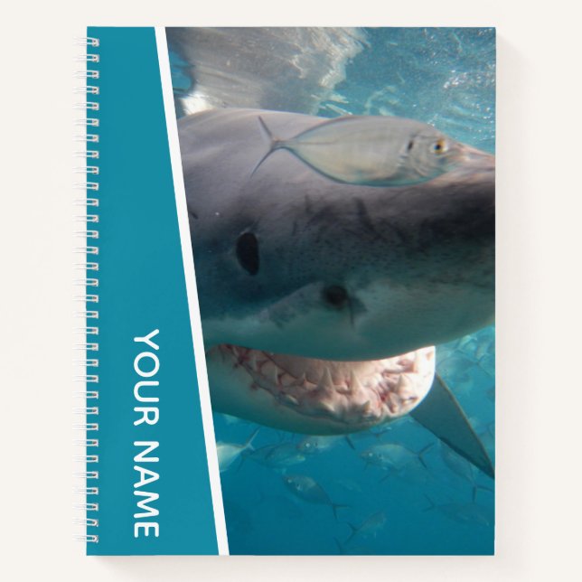 Cuaderno Gran Tiburón Blanco Australia Sonrisa Dientes (Anverso)