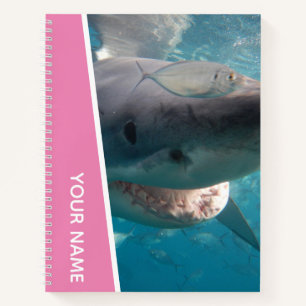 Cuaderno Gran Tiburón Blanco Australia Sonrisa Dientes, Chi