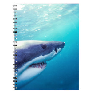 Cuaderno Gran tiburón blanco   Sudáfrica