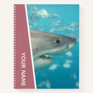 Cuaderno Gran Tiburón Blanco Tema Océano Australia, Rosa Do