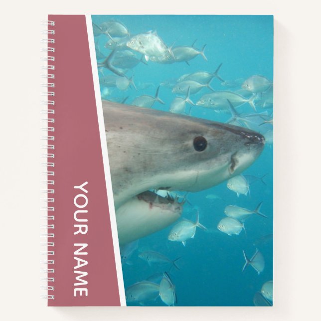 Cuaderno Gran Tiburón Blanco Tema Océano Australia, Rosa Do (Anverso)