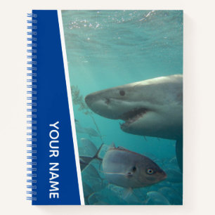 Cuaderno Gran tiburón blanco y peces Australia, azul