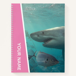 Cuaderno Gran tiburón blanco y peces Australia, rosa