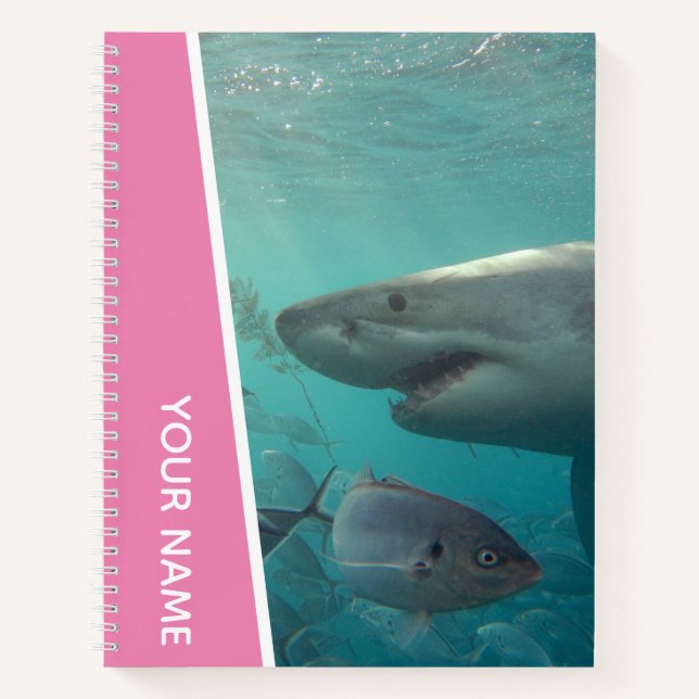 Cuaderno Gran tiburón blanco y peces Australia, rosa (Anverso)