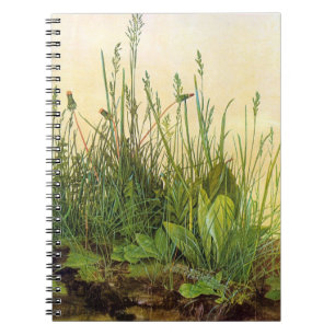 Cuaderno Gran Turf - Albrecht Durer - c1503