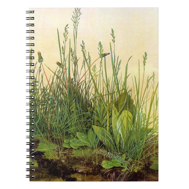 Cuaderno Gran Turf - Albrecht Durer - c1503 (Frente)