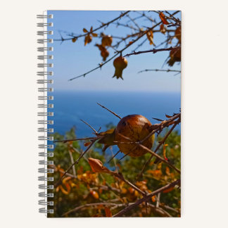 Cuaderno Granada Silvestre Soleado Montenegro Verano
