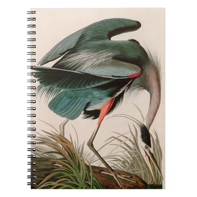 Cuaderno Grandes aves de garza azul de América Impresión Au (Frente)