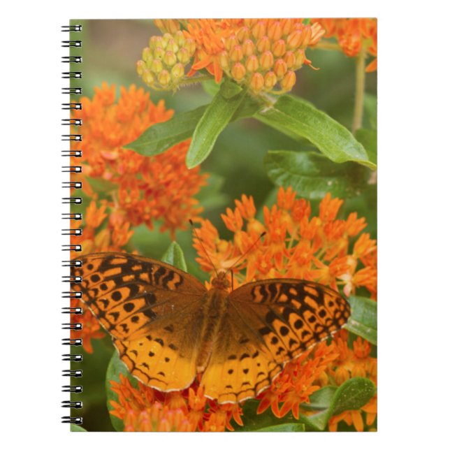 Cuaderno Grandes fritillaries manchadas en algodoncillo de  (Frente)