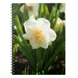 Cuaderno Grandes narcisos blancos en un día de primavera  
