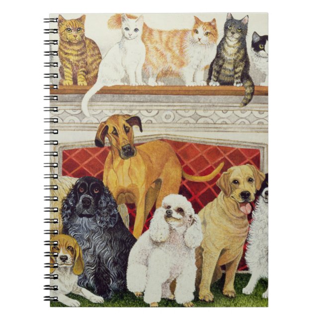 Cuaderno Granes expectaciones (Frente)