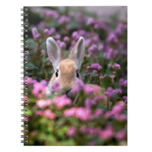 Cuaderno Granja de conejo