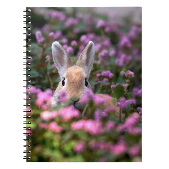 Cuaderno Granja de conejos (Frente)