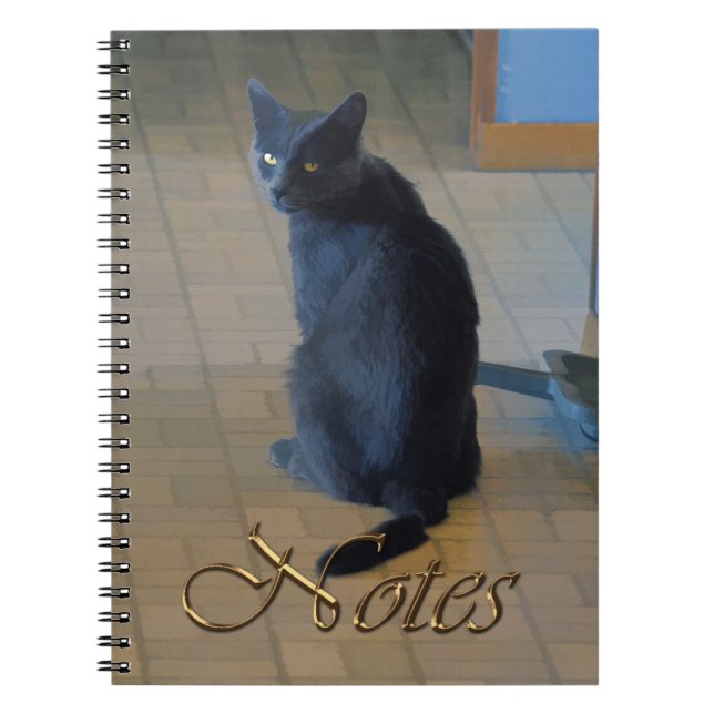 Cuaderno Granja de gris suave sentada en la cocina del Ranc (Frente)