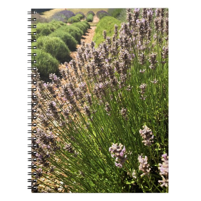 Cuaderno Granja de lavanda (Frente)
