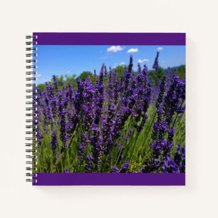 Cuaderno Granja de lavanda