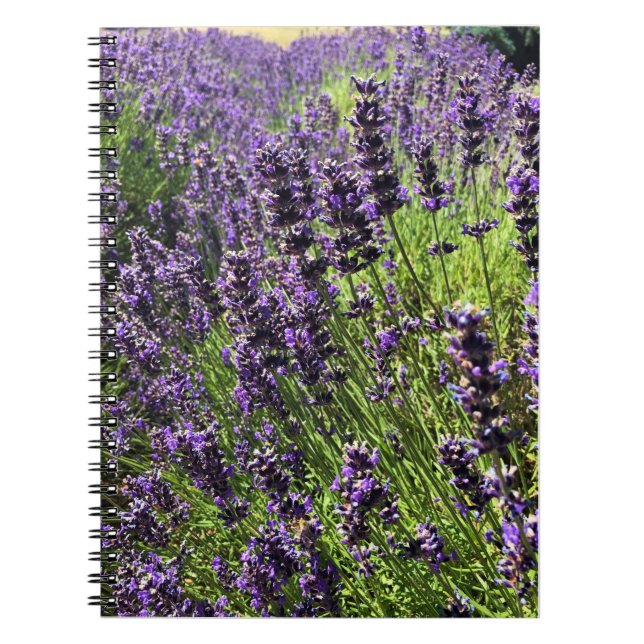 Cuaderno Granja de lavanda (Frente)