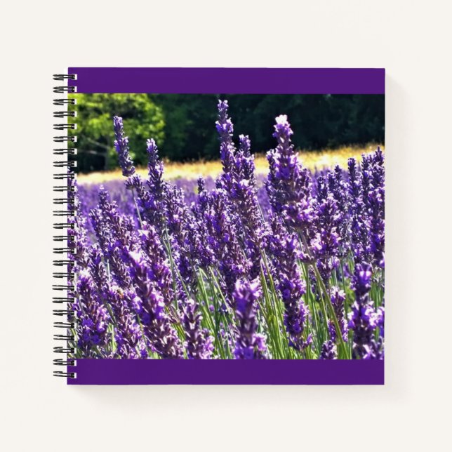 Cuaderno Granja de lavanda (Anverso)