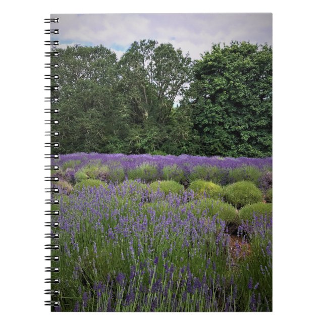 Cuaderno Granja de lavanda (Frente)