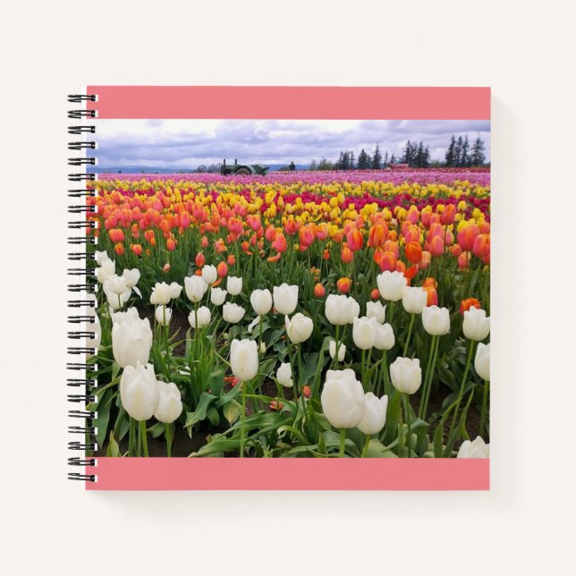 Cuaderno Granja de Tulipanes (Anverso)