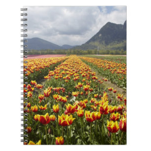 Cuaderno Granja de tulipanes cerca de Agassiz, Columbia Bri