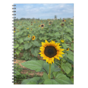 Cuaderno Granja fotográfica de campo de girasol