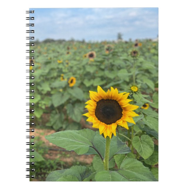 Cuaderno Granja fotográfica de campo de girasol (Frente)