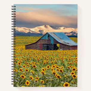 Cuaderno Granjas Campo de girasol