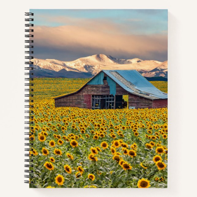 Cuaderno Granjas | Campo de girasol (Anverso)