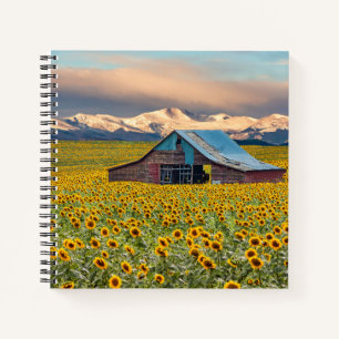 Cuaderno Granjas Campo de girasol