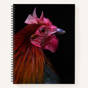 Cuaderno Granjas Disparo de cabeza de gallo