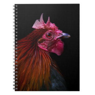 Cuaderno Granjas Disparo de cabeza de gallo
